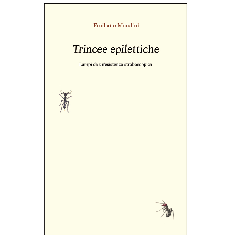 Trincee Epilettiche Cover 2