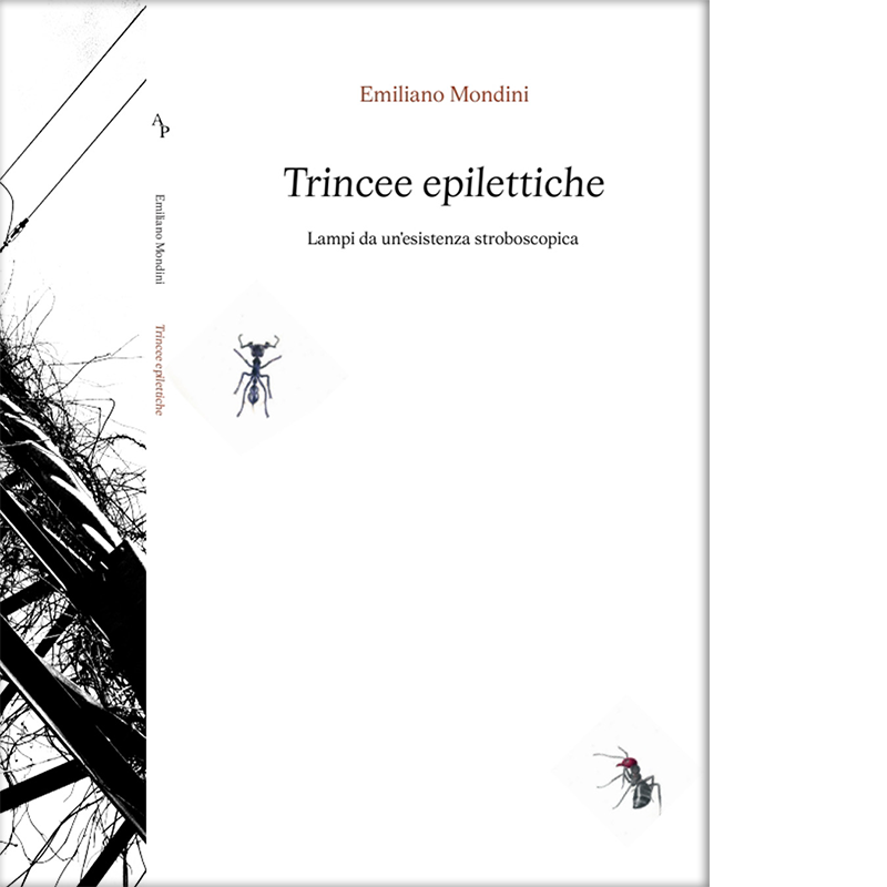 Trincee_Cover per webshop_fronte